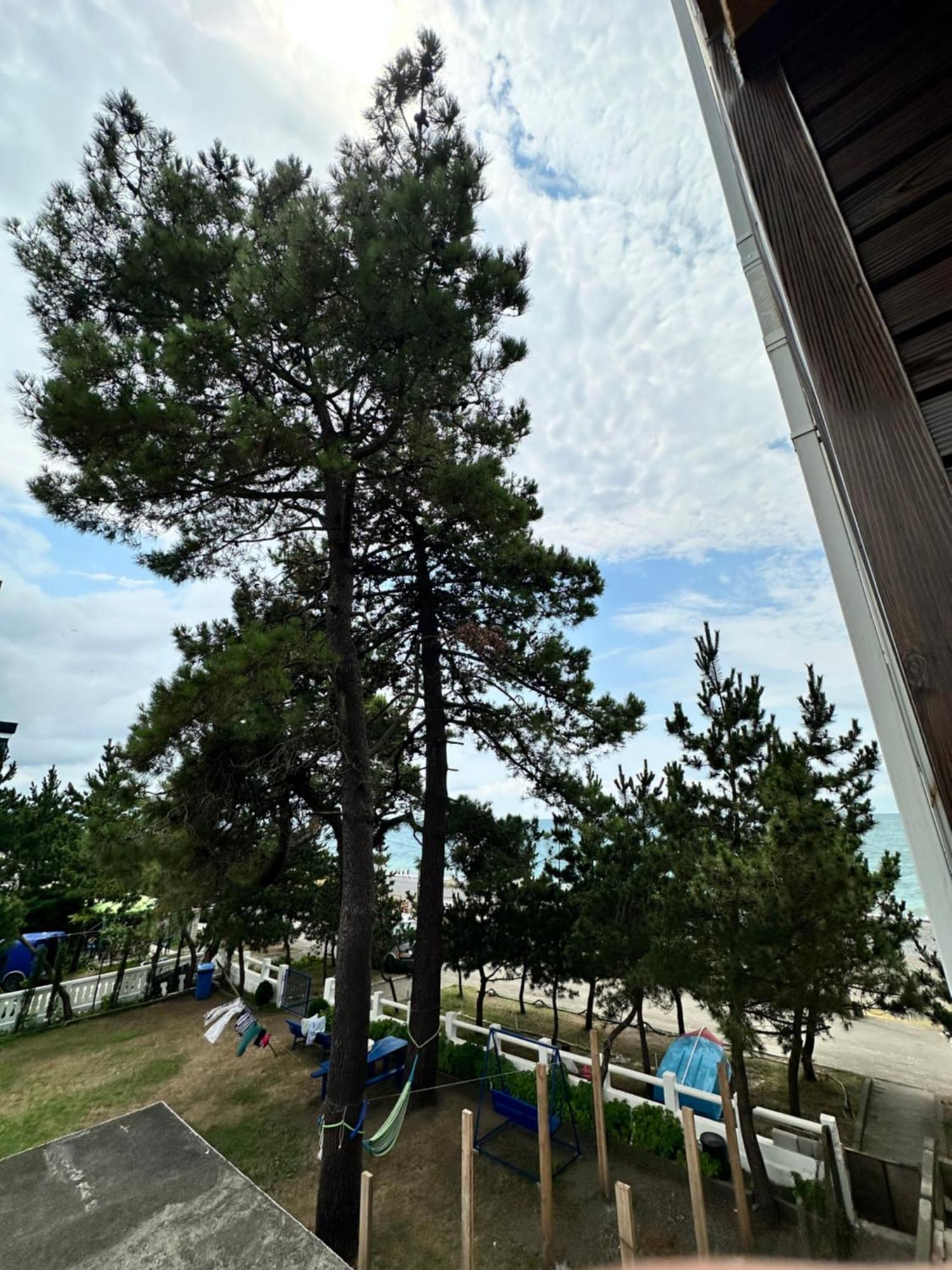 Hotel Black Sea Kobuleti ภายนอก รูปภาพ